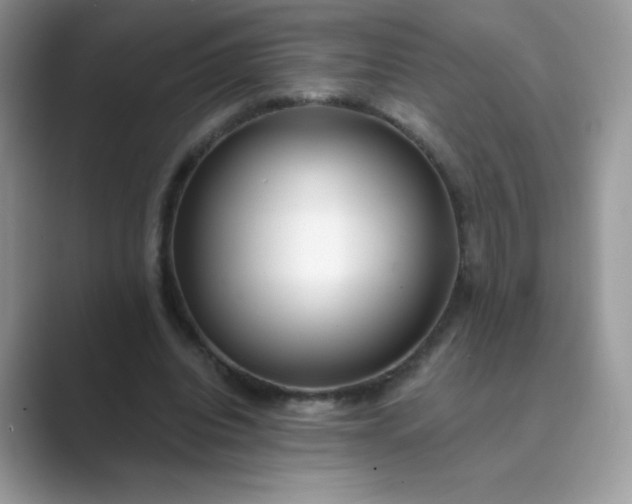 X0000089740440200707051800