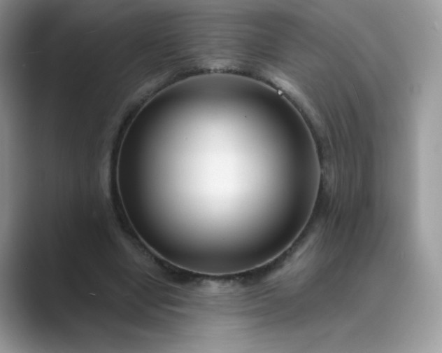 X0000089740442200707051800