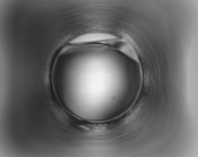 X0000089740443200707051800