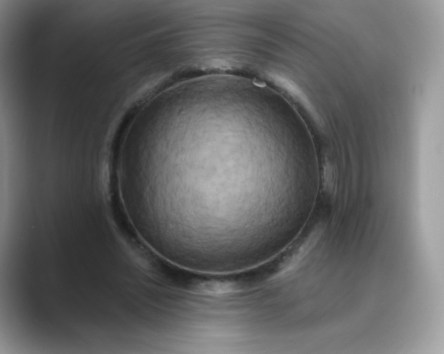 X0000089740444200707051800