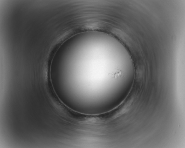 X0000089740446200707051800