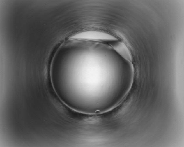 X0000089740447200707051800