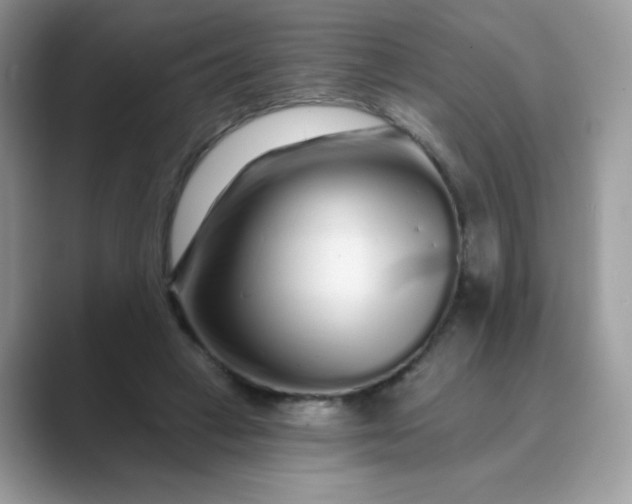 X0000089740449200707051800