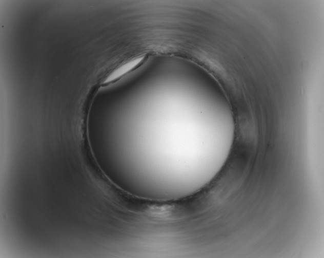 X0000089740450200707051800