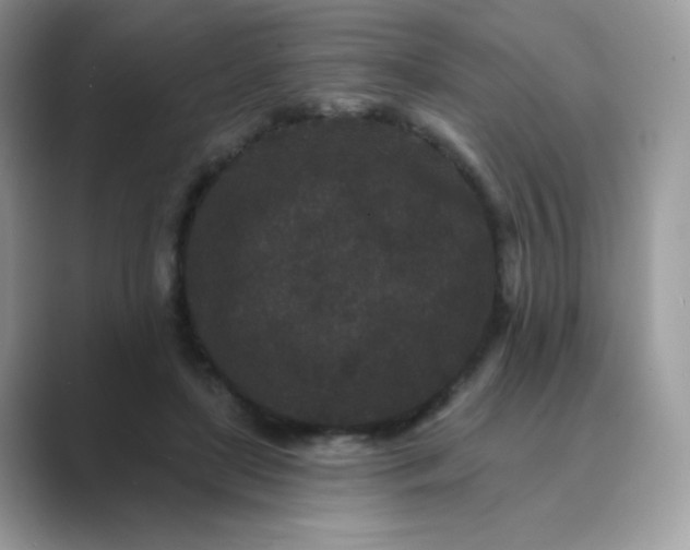 X0000089740451200707051800