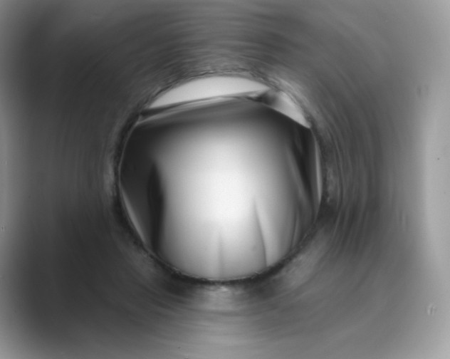 X0000089740453200707051800