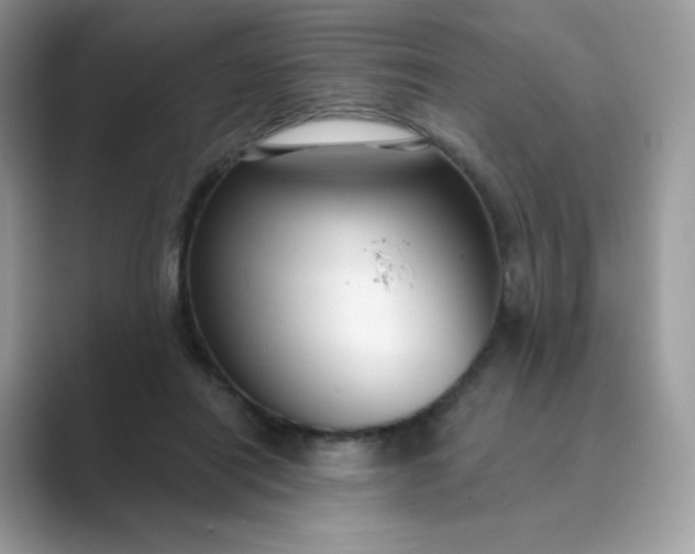 X0000089740454200707051800