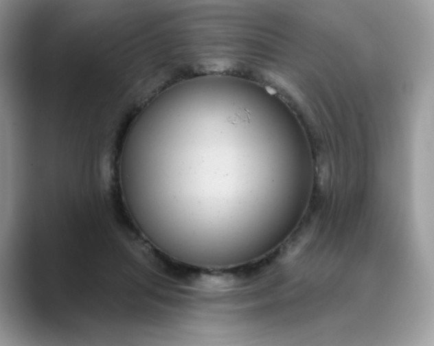 X0000089740455200707051800