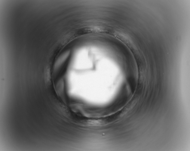 X0000089740457200707051800