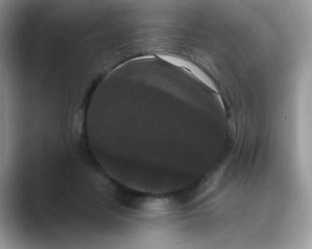 X0000089740458200707051800