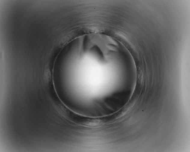 X0000089740459200707051800