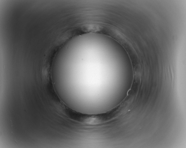 X0000089740460200707051800