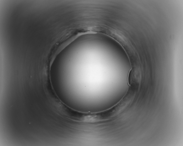 X0000089740461200707051800