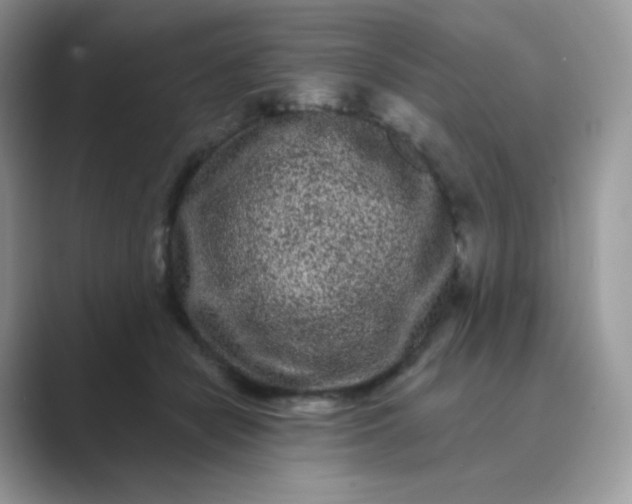 X0000089740462200707051800