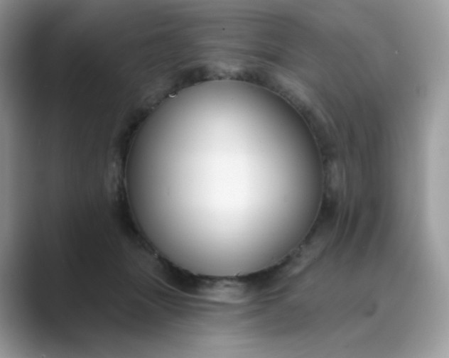 X0000089740463200707051800