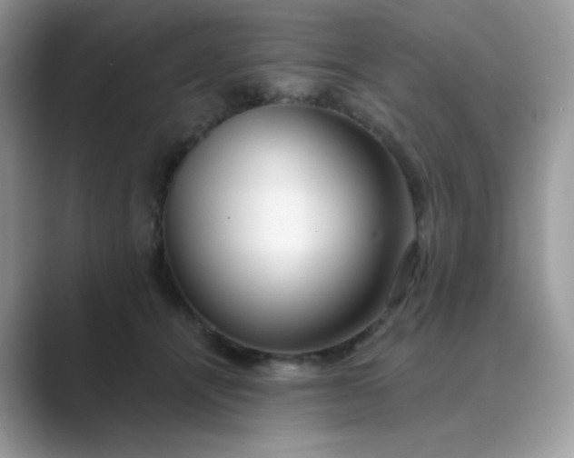 X0000089740464200707051800