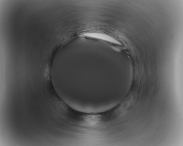 X0000089740465200707051800