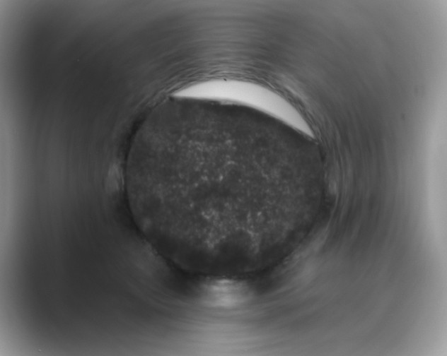 X0000089740467200707051800