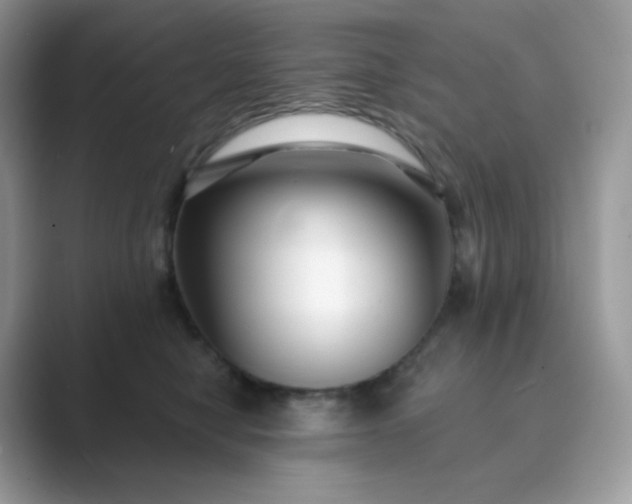 X0000089740470200707051800