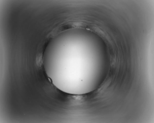 X0000089740478200707051800