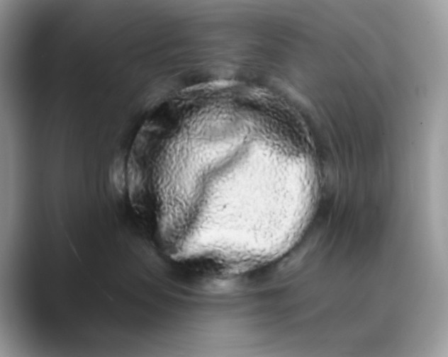 X0000089740479200707051800