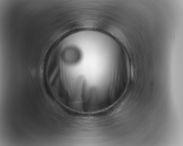 X0000089740483200707051759