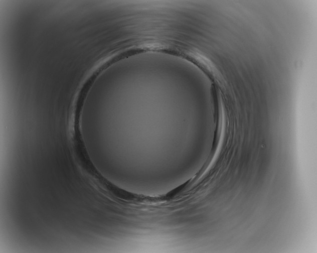 X0000089740484200707051759