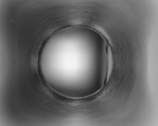 X0000089740485200707051759