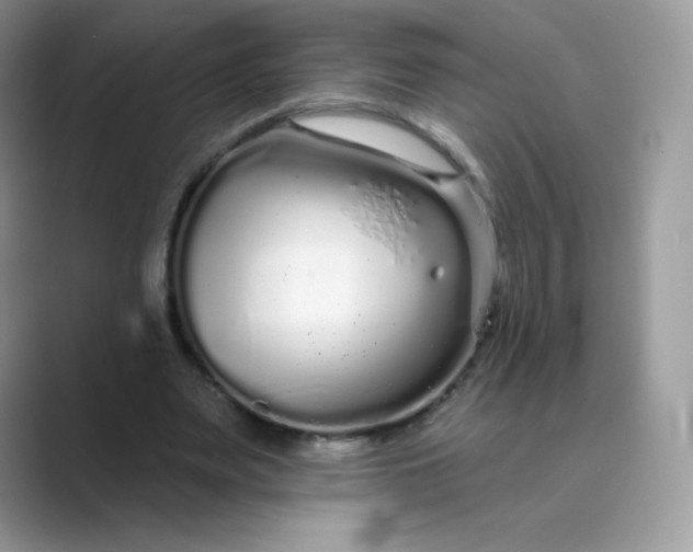 X0000089740487200707051759