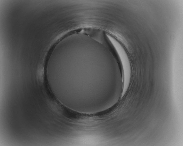 X0000089740488200707051759