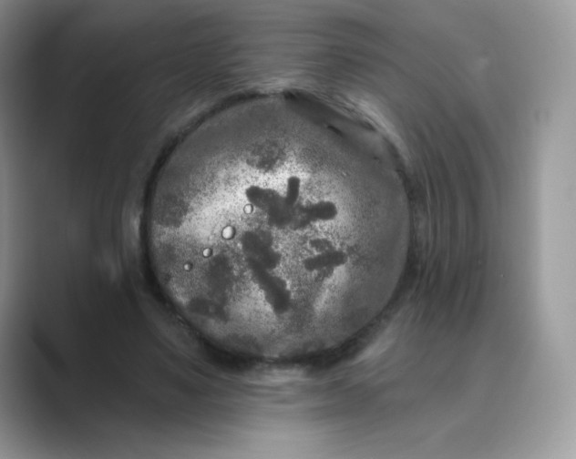 X0000089740491200707051759