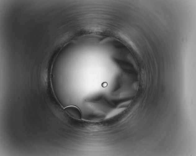 X0000089740494200707051759