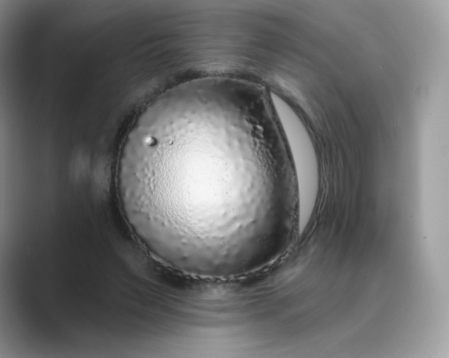 X0000089740495200707051759