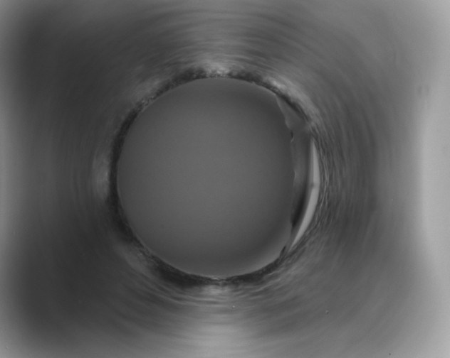 X0000089740496200707051759