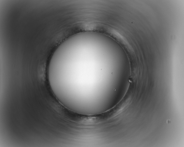 X0000089740497200707051759