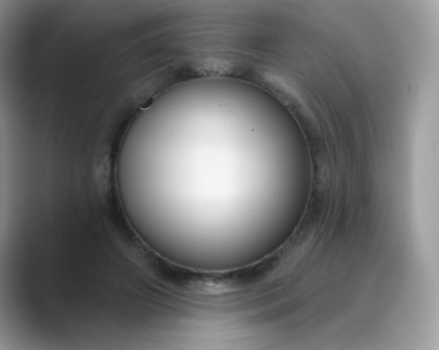 X0000089740498200707051759