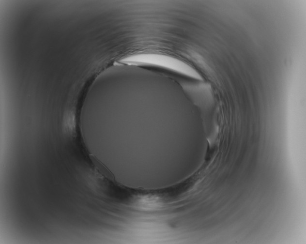 X0000089740500200707051759