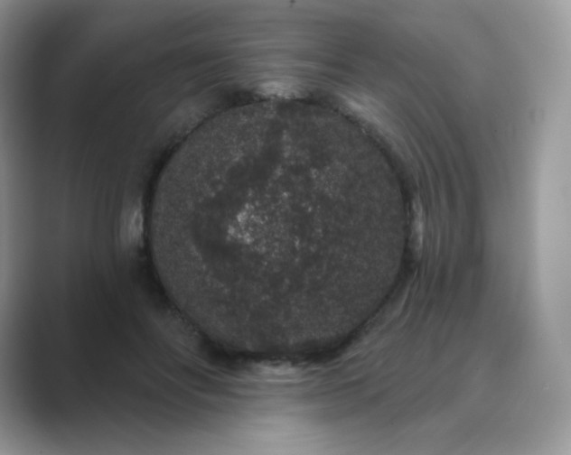 X0000089740502200707051759