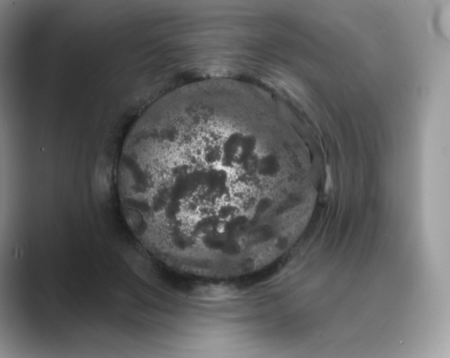 X0000089740503200707051759