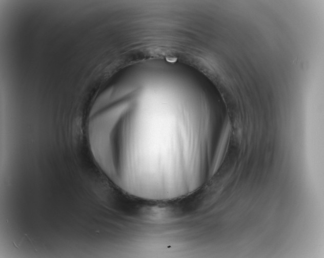 X0000089740506200707051759