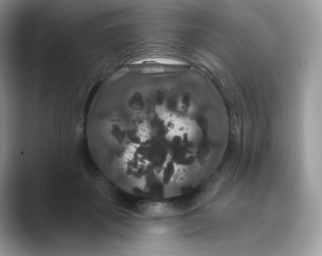 X0000089740507200707051759