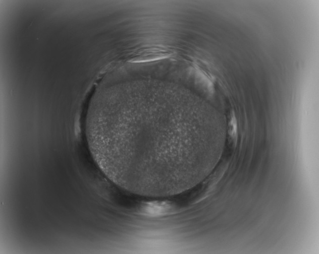 X0000089740508200707051759