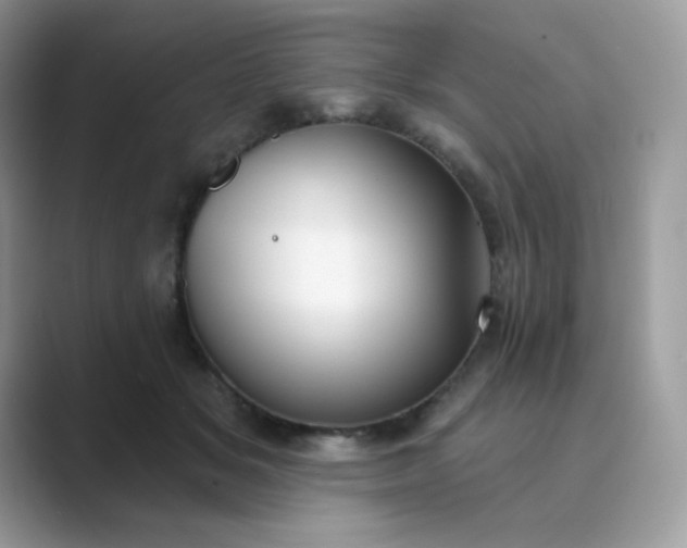 X0000089740509200707051759