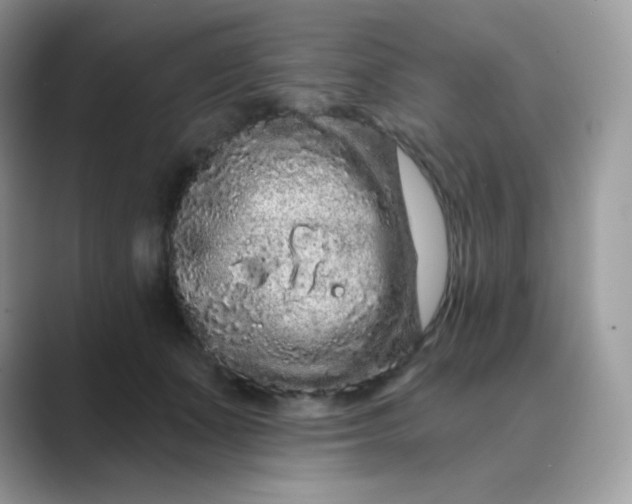 X0000089740511200707051759