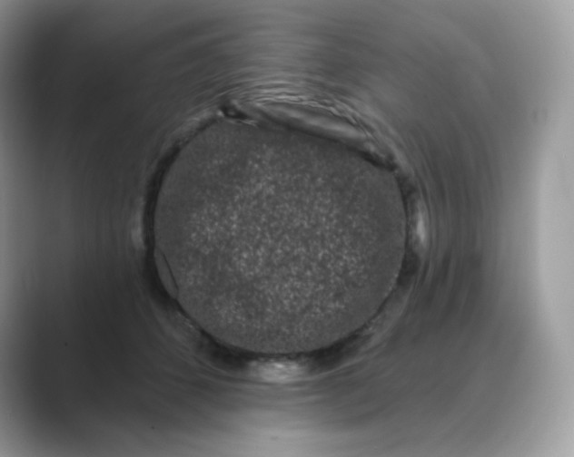 X0000089740512200707051759