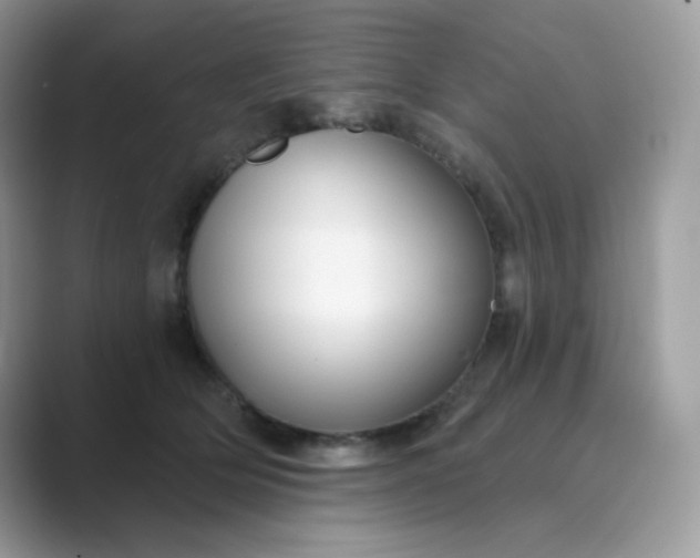 X0000089740514200707051759