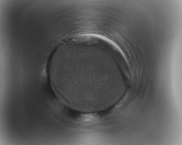 X0000089740516200707051759