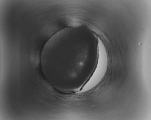 X0000089740517200707051759