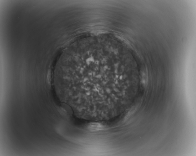 X0000089740519200707051759