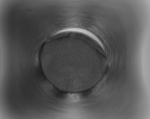 X0000089740520200707051759